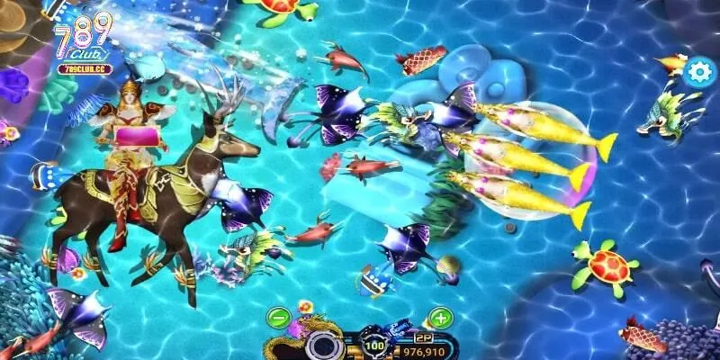 Phòng Pháo Hoa Biển nhận được sự tham gia đông đảo