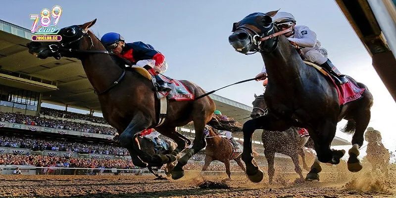 Cách chơi đua ngựa cực đơn giản tại 789 Club