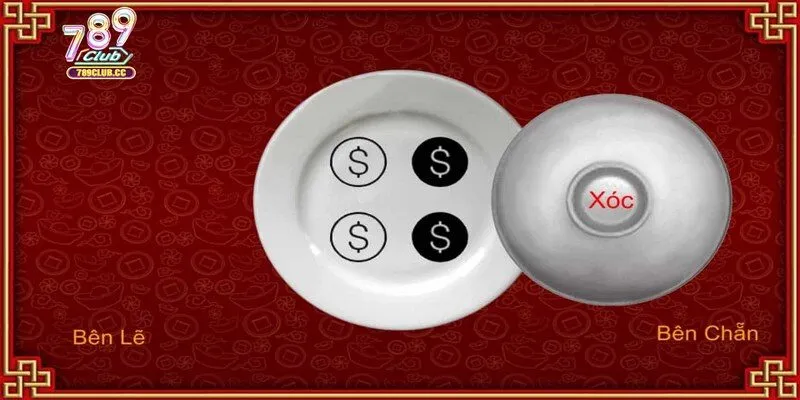 Cách chơi xóc đĩa với dụng cụ hỗ trợ siêu đơn giản