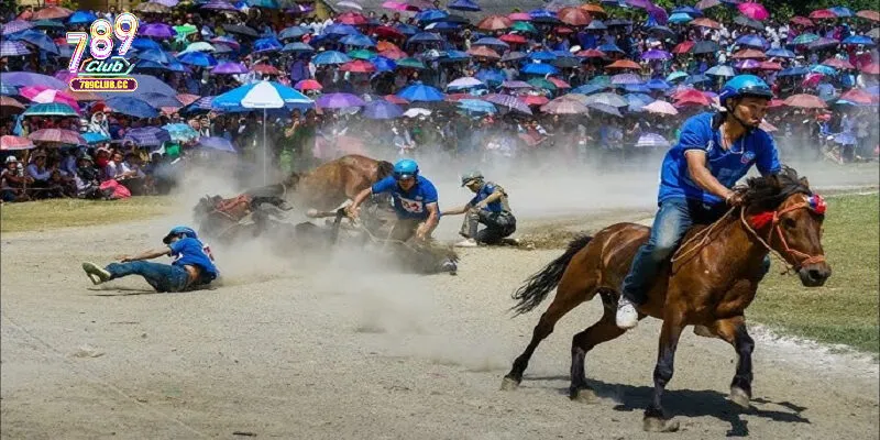 Sự kiện đua ngựa Sapa siêu hấp dẫn