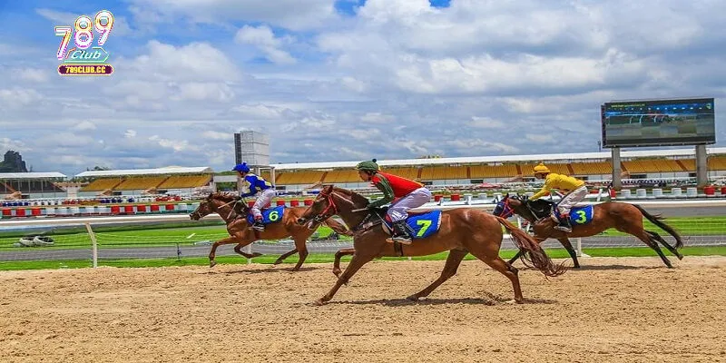 Game đặt cược đua ngựa là gì?