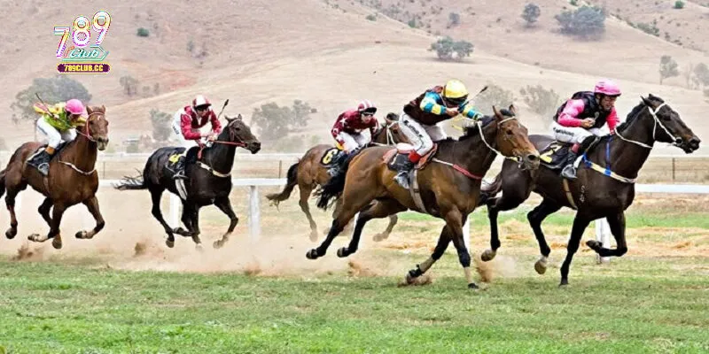 Lợi ích khi tham gia game đặt cược đua ngựa tại 789Club